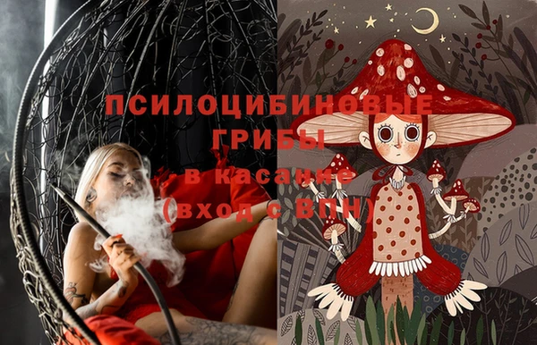 прущая мука Абаза
