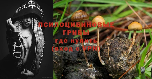 прущая мука Абаза