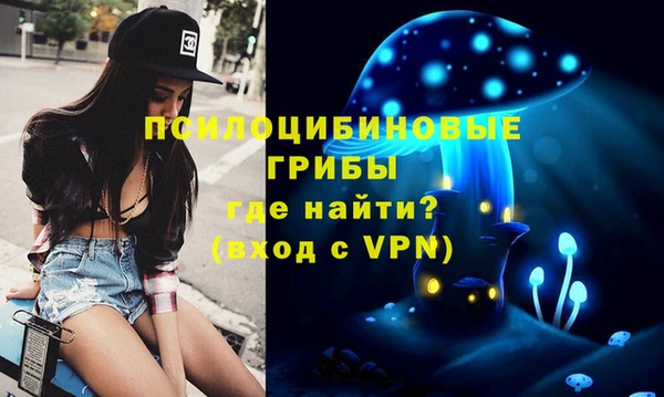 прущая мука Абаза