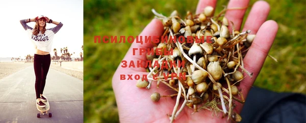 винт Абинск