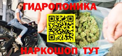 прущие грибы Кизляр