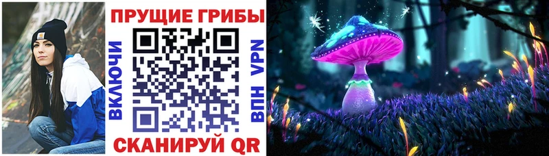 Галлюциногенные грибы мицелий  Красноперекопск 
