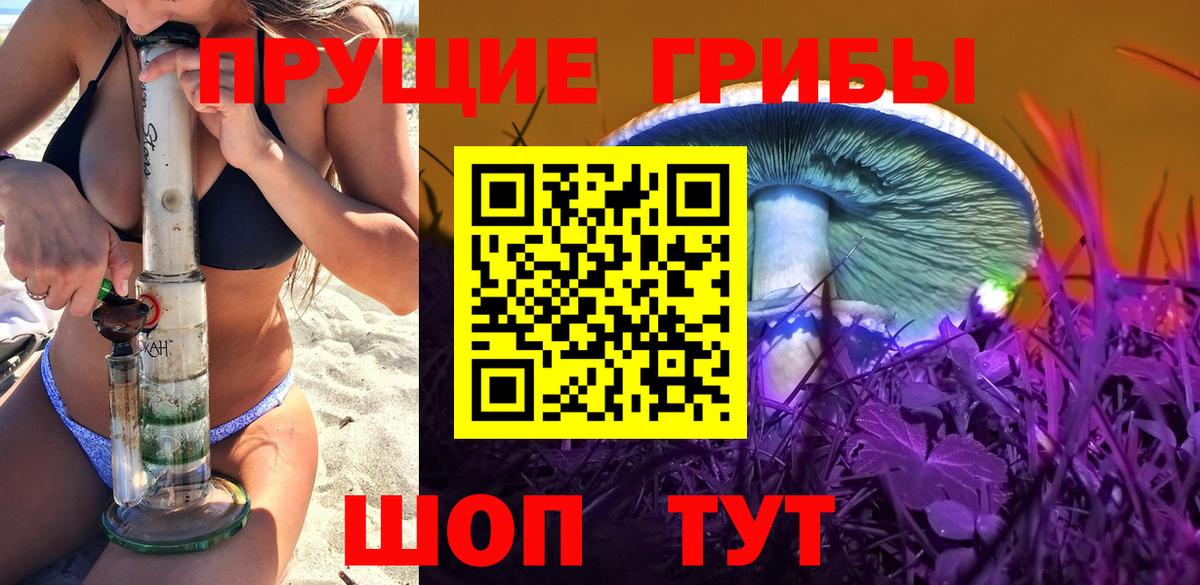 Красноперекопск  Галлюциногенные грибы прущие грибы  Вход с VPN 