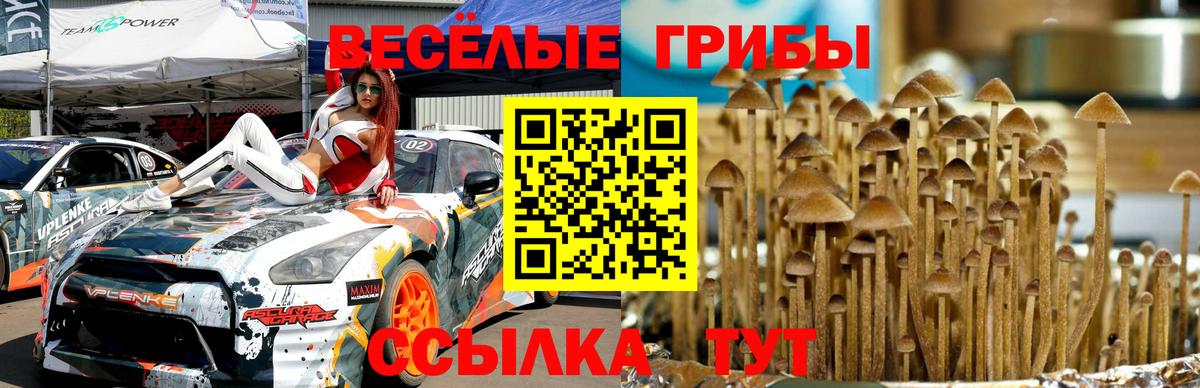 Галлюциногенные грибы MAGIC MUSHROOMS Красноперекопск