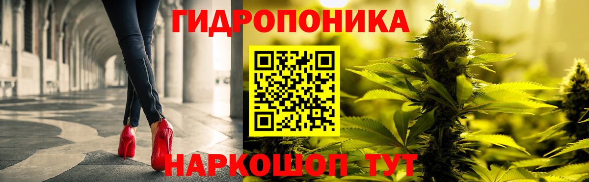 Красноперекопск  Каннабис сатива  Канабис планчик  Конопля THC 21%  Вход с VPN 